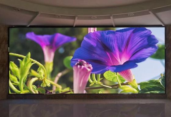 Hoge duurzaamheid en gemakkelijke installatie voor een flexibel LED-scherm